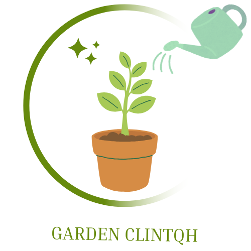 Garden CLINTQH