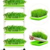 4-Layer Sprout Trays with Durable Plastic Shelf – Soil-Free Wheatgrass Seeds Grower & Storage System